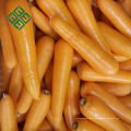 Karotte der Qualitäts in der chinesischen Karotte der chinesischen Karotte der Karotte